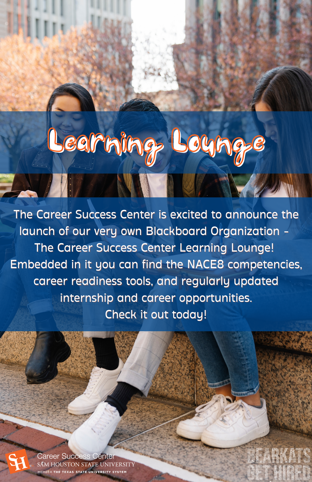 Blackboard Learning Lounge